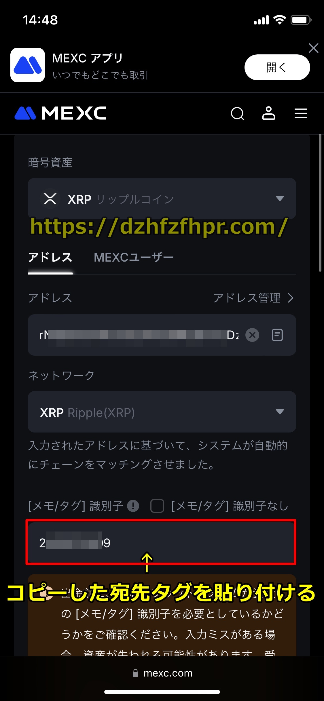ステークカジノ
