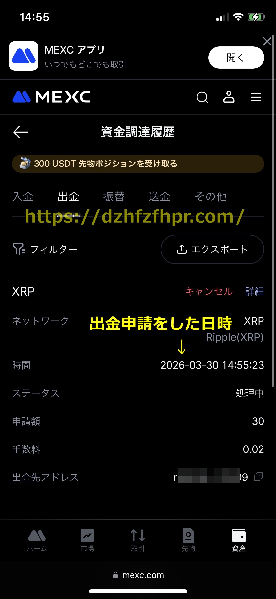 ステークカジノ