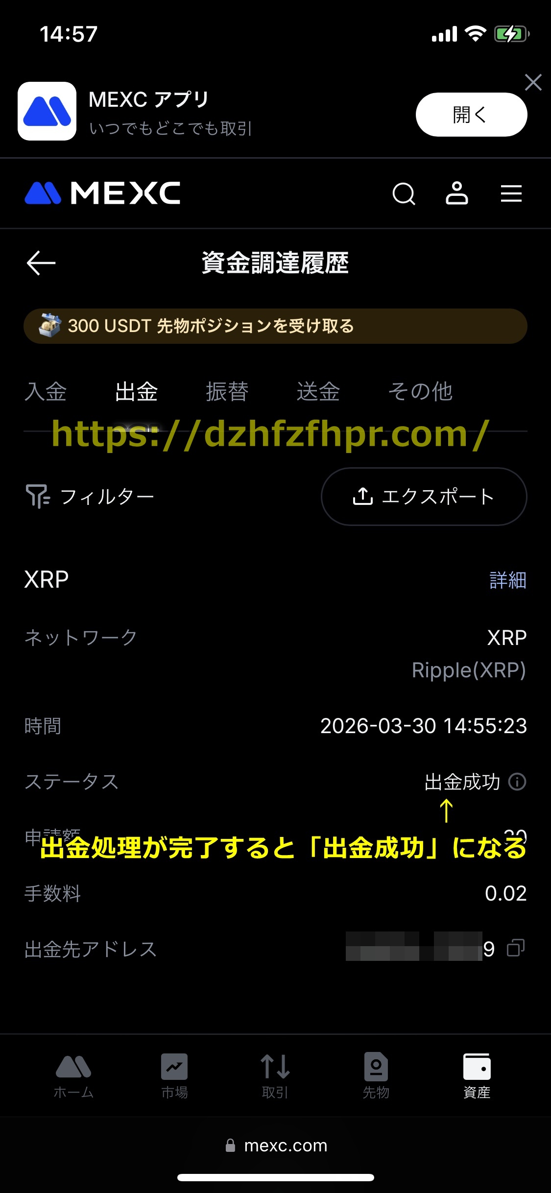 ステークカジノ