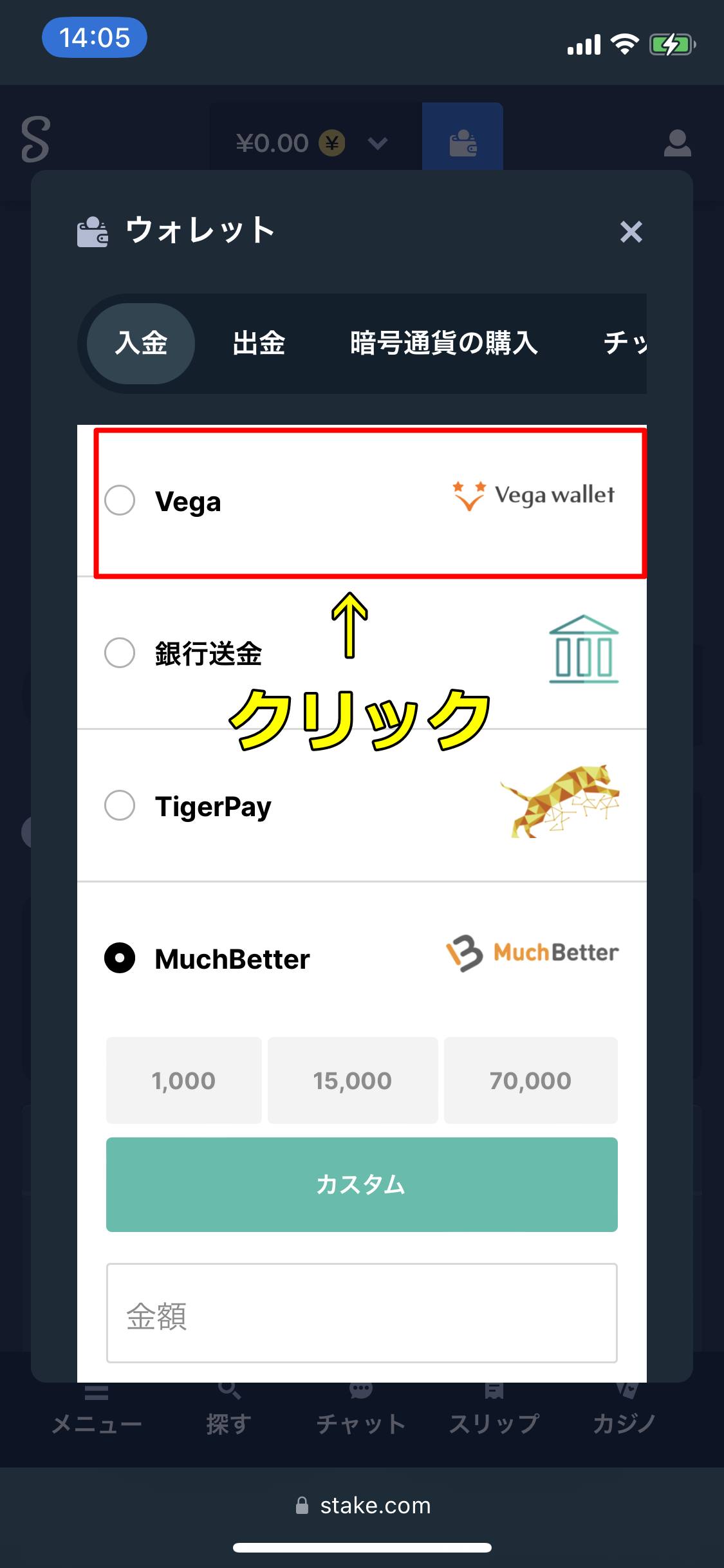ステークカジノ